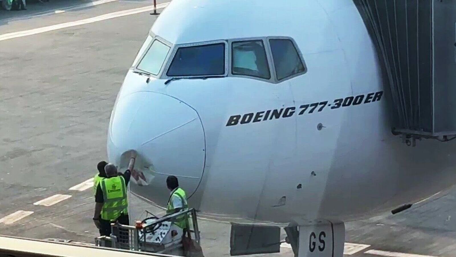 Emirates Delhi-Dubai flight delayed after bird strike