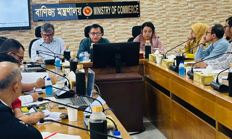 Muktadir calls for holiday operations to tackle airport backlog