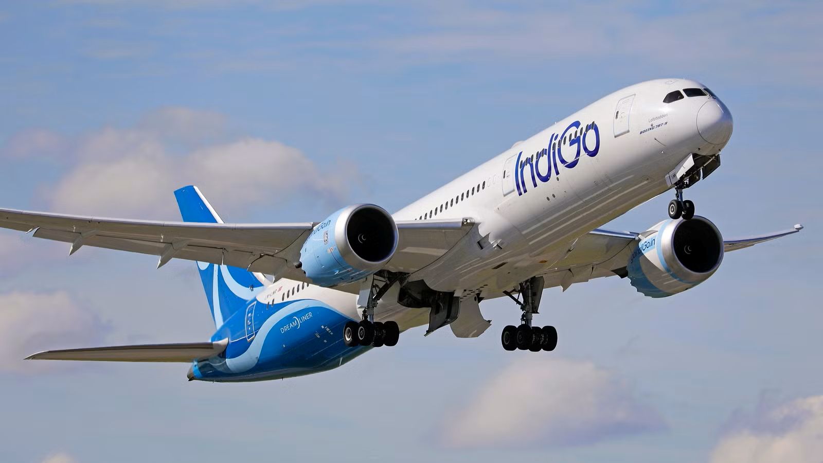 IndiGo hikes fees for excess baggage, infant tickets, priority boarding
