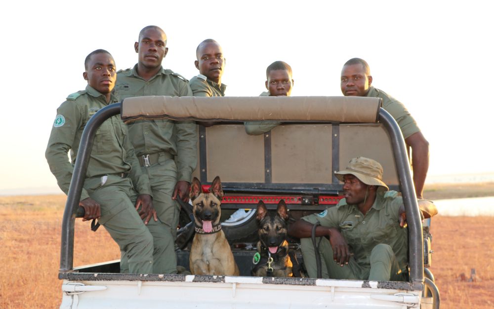 Emirates SkyCargo-flown K9 unit begins Zimbabwe duty