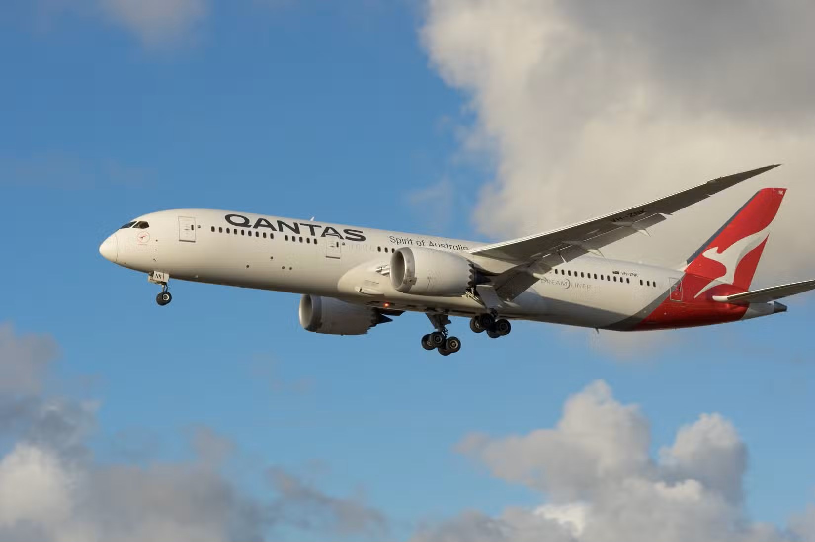 Qantas plane grounded after reported bedbug outbreak