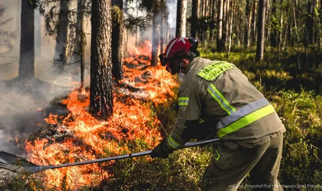 Pilot dies after firefighting ‌plane tackling major forest blaze crashes in Poland