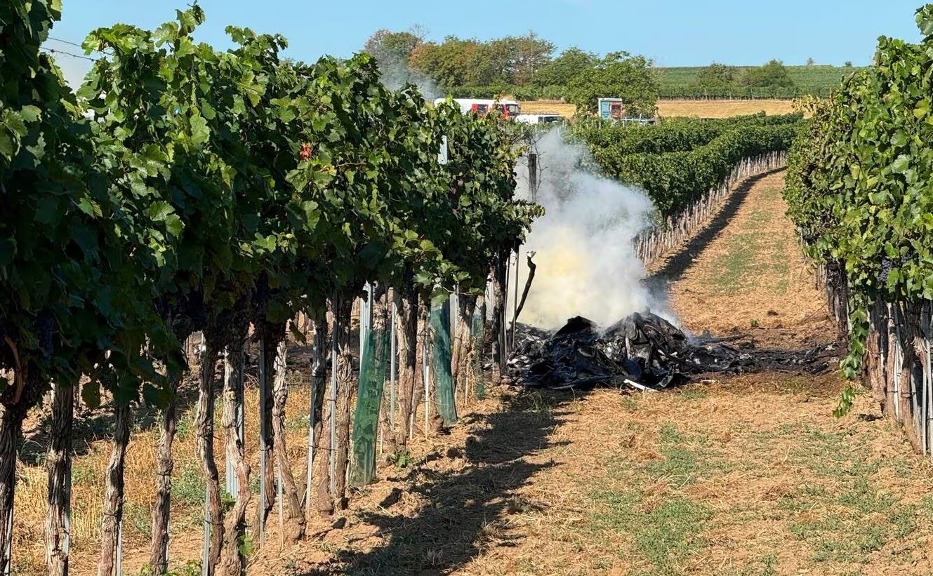 Small airplanes collide and crash in Austria; Two pilots killed
