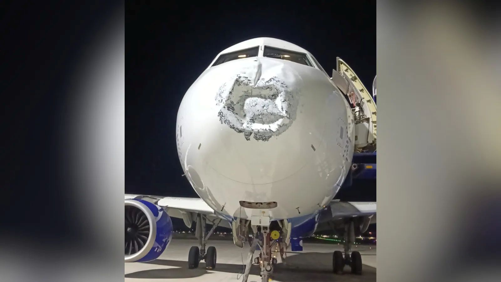 IndiGo plane's nose damaged on Patna-Lucknow flight: report