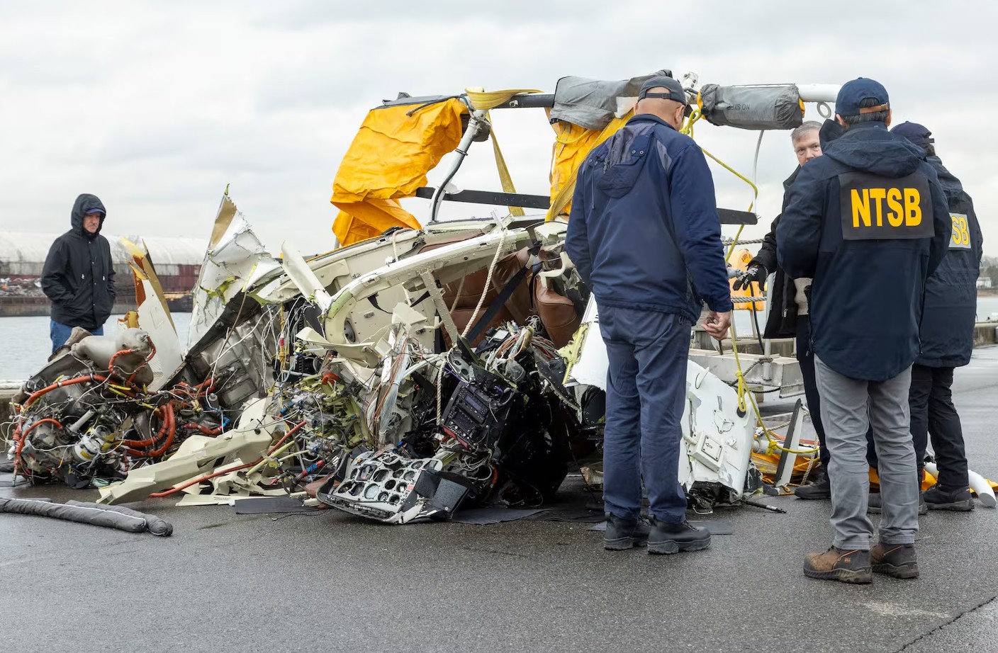 Bird strike likely caused New York City helicopter crash in Hudson River: NTSB