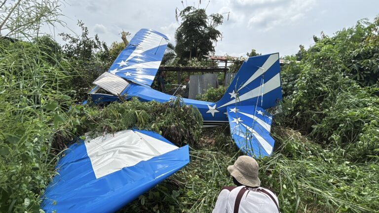 Thai-German pilot injured in small plane crash near Pattaya airfield