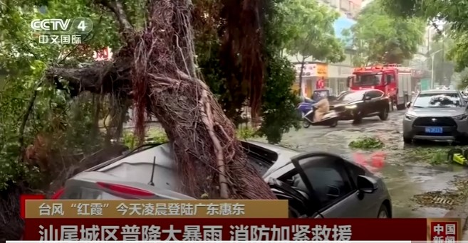 Stranded tourists evacuated from China's famed Jiuzhaigou World Heritage site after mudslides, heavy rain