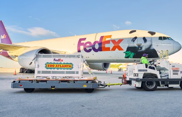 FedEx 'Panda Express' flies two giant pandas to Atlanta